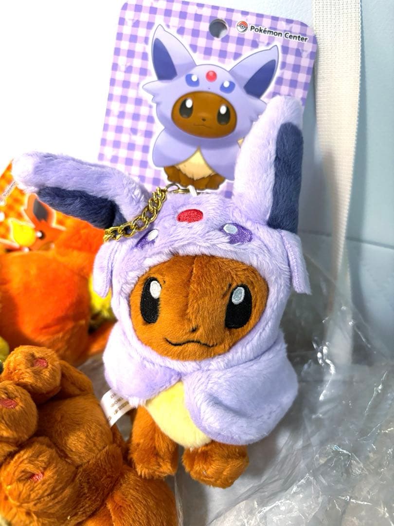 (全種&タグ付き)ポンチョを着たイーブイ ぬいぐるみマスコット