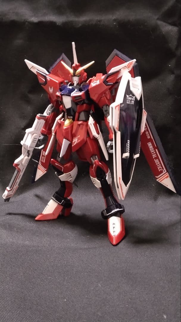 HG 1/144 イモータルジャスティス　完成品ガンダム