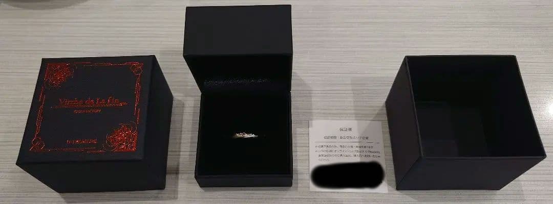 【終遠のヴィルシュ】リュカ・プルースト モチーフリング シルバー 6号