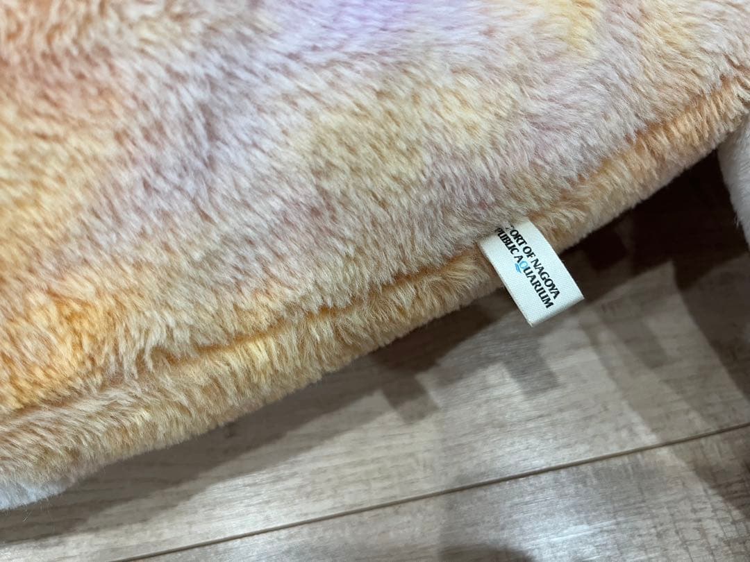 名古屋港水族館　南知多ビーチランド　スピードくじ　特賞　激レア