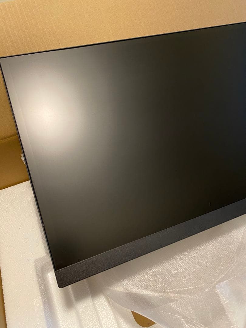 LG モニター ディスプレイ 29WL500-B 29インチ