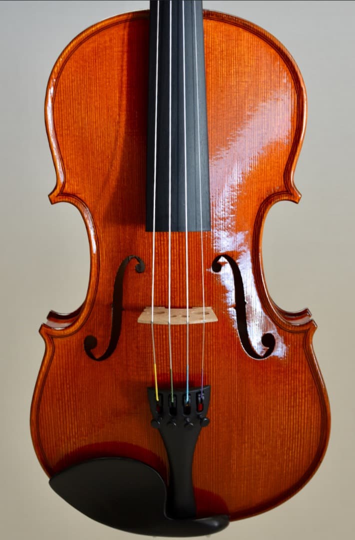 【ほぼ新品】Gliga VASILE gama2 バイオリン 4/4 セット