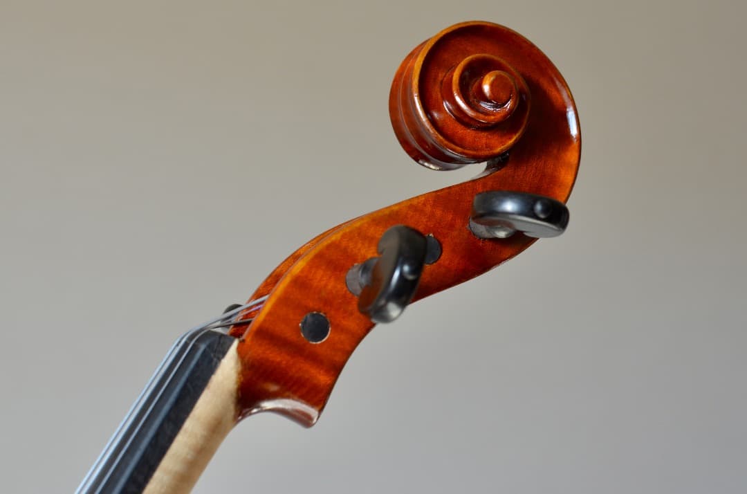 【ほぼ新品】Gliga VASILE gama2 バイオリン 4/4 セット