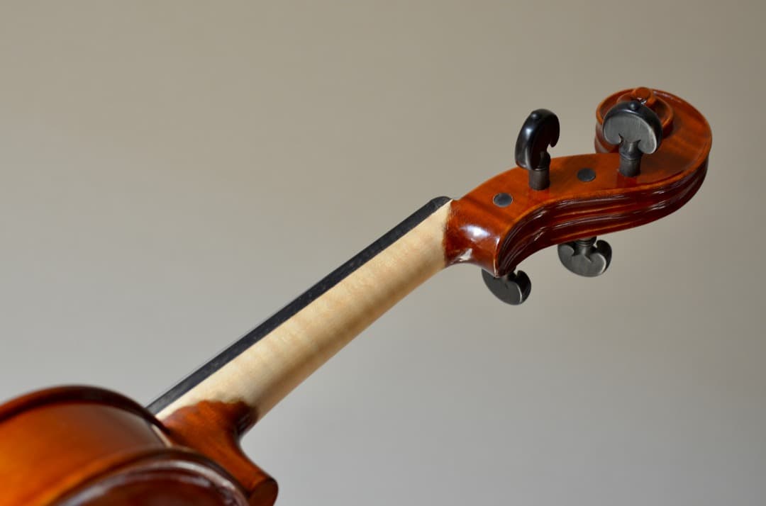 【ほぼ新品】Gliga VASILE gama2 バイオリン 4/4 セット