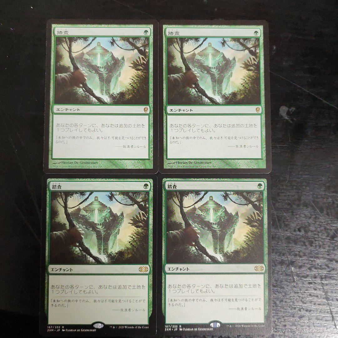 踏査 4枚セット