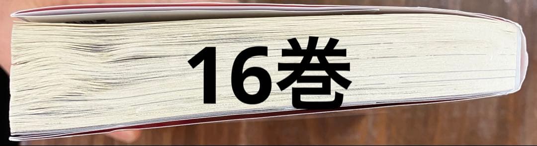 薬屋のひとりごと　1巻～16巻　全巻セット　ライトノベル　小説