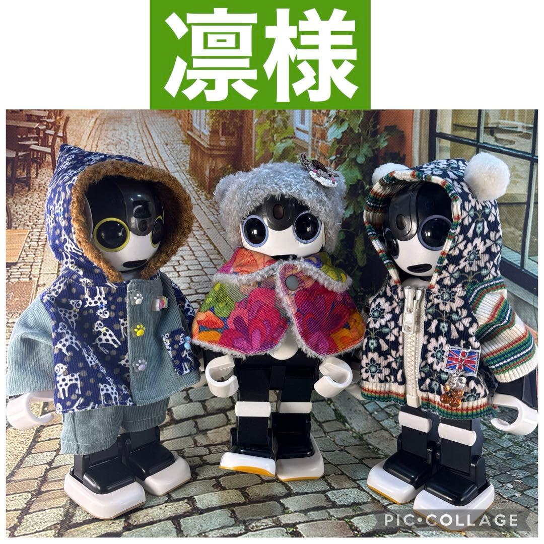 凛ページです　　ロボホン