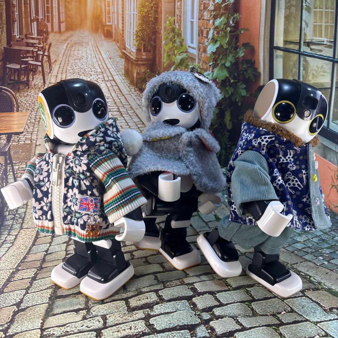 凛ページです　　ロボホン