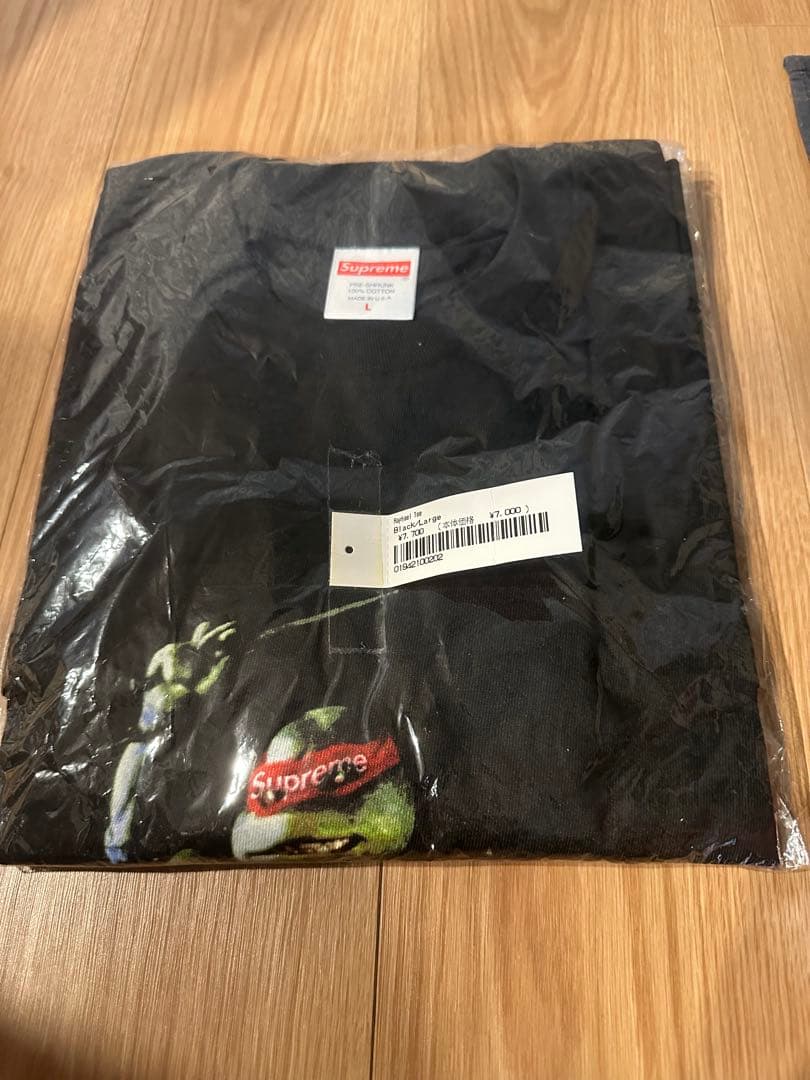 Supreme 21ss Raphael Tee Lサイズ