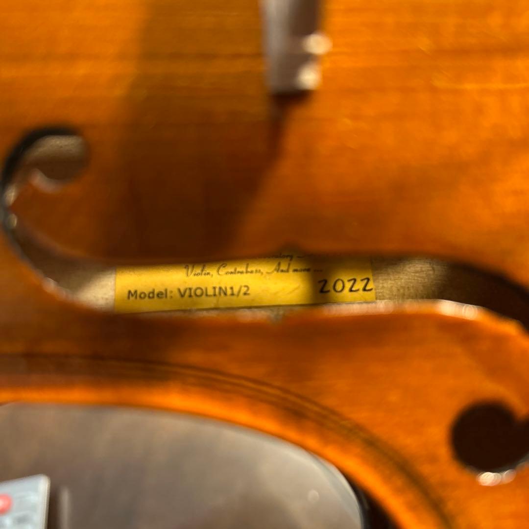 Reghin バイオリン　1/2