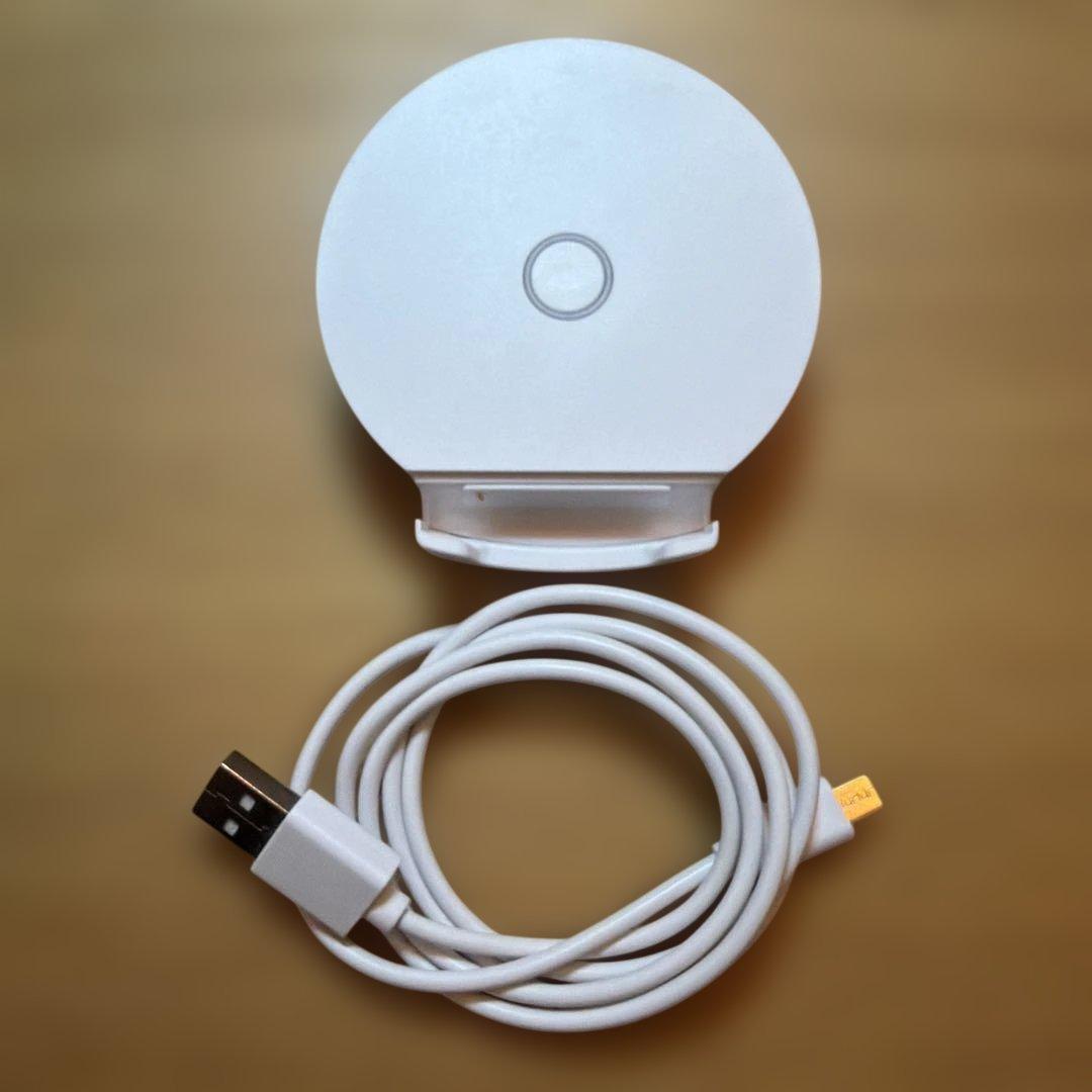 Catlog ペンダント 充電器USBケーブルセット