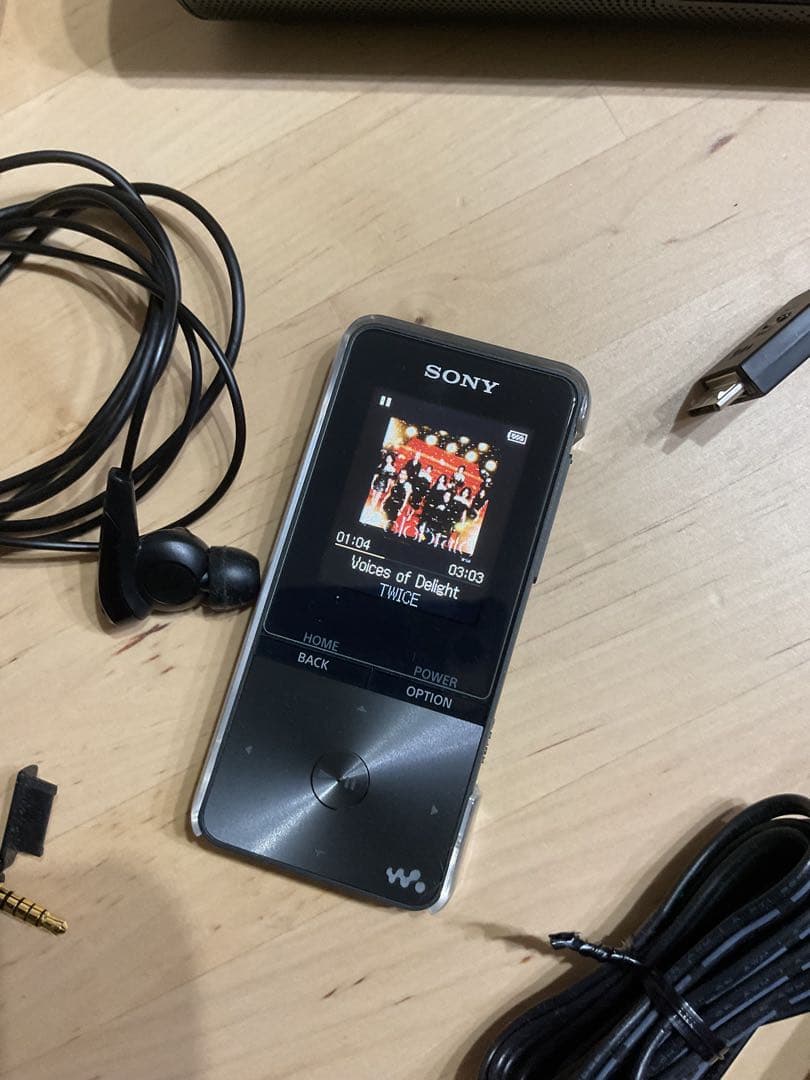 SONY ウォークマン デジタルオーディオプレーヤー NW-S313 ブラック