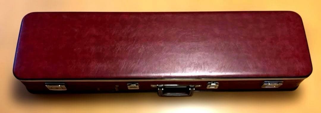 三味線 本体 専用ケース楽譜付き　バチおまけ