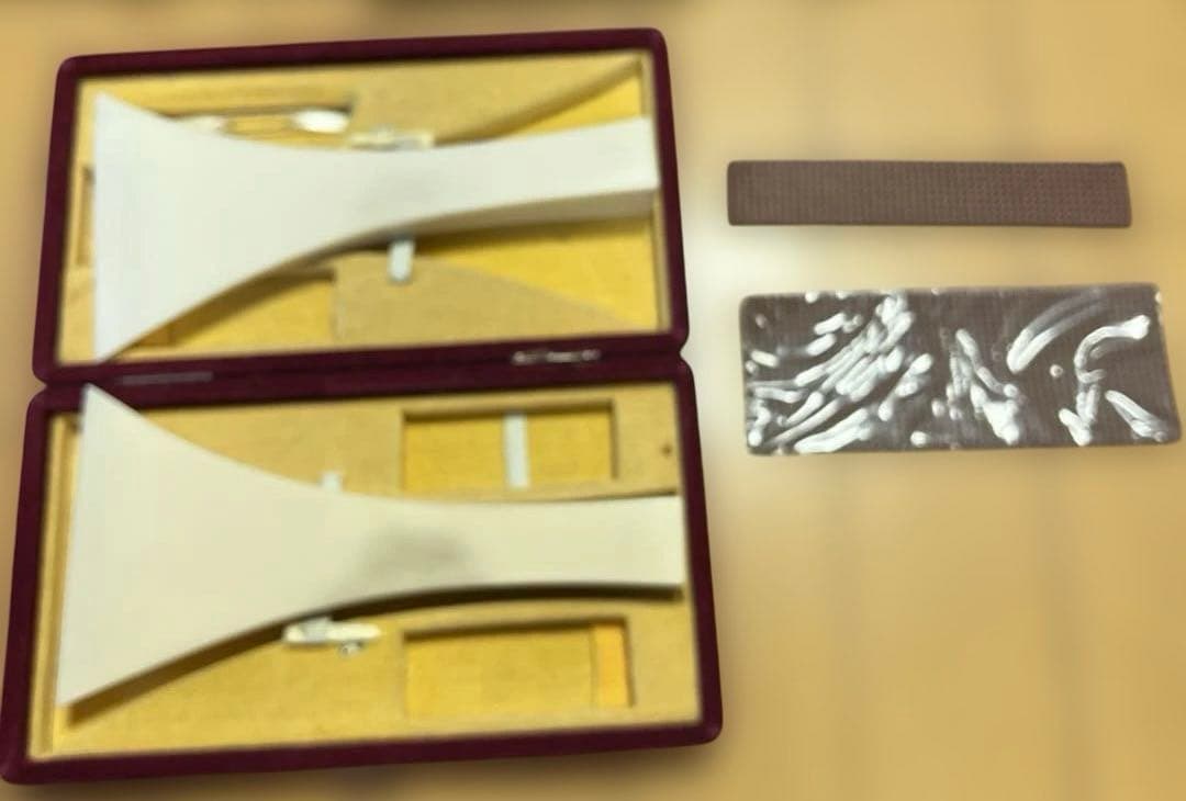 三味線 本体 専用ケース楽譜付き　バチおまけ