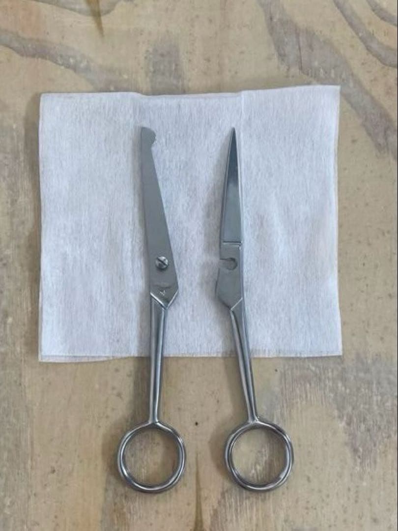 生物　昆虫採取　解剖セット　標本セット　実習キット