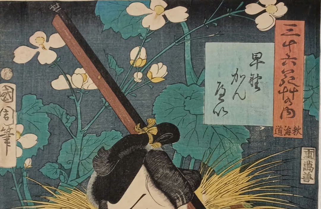 浮世絵版画、三十六花艸の内（秋海道) 豊原国周画、慶応2年（1866)出版