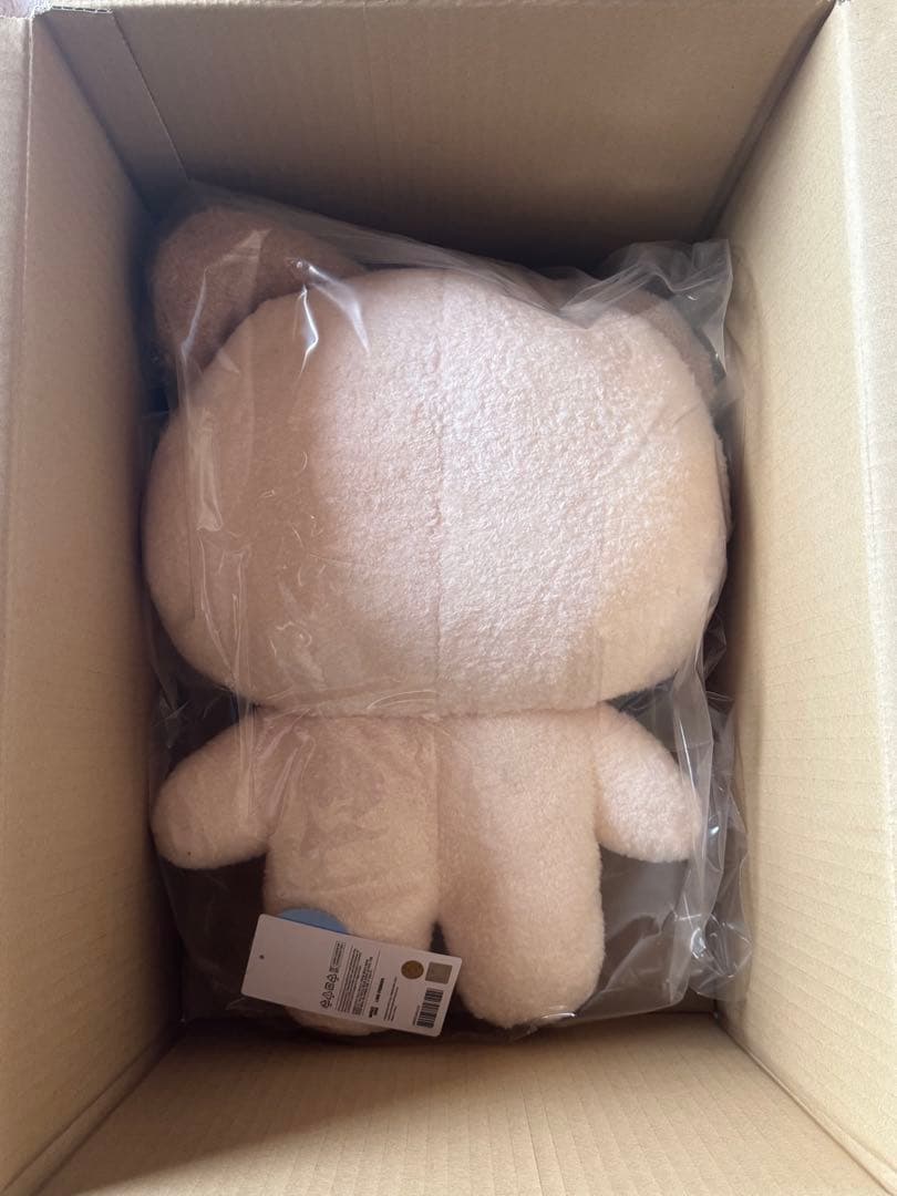 zeroniフラットぬいぐるみ　ハニニ　ジャンハオゼロニ hanini ZB1