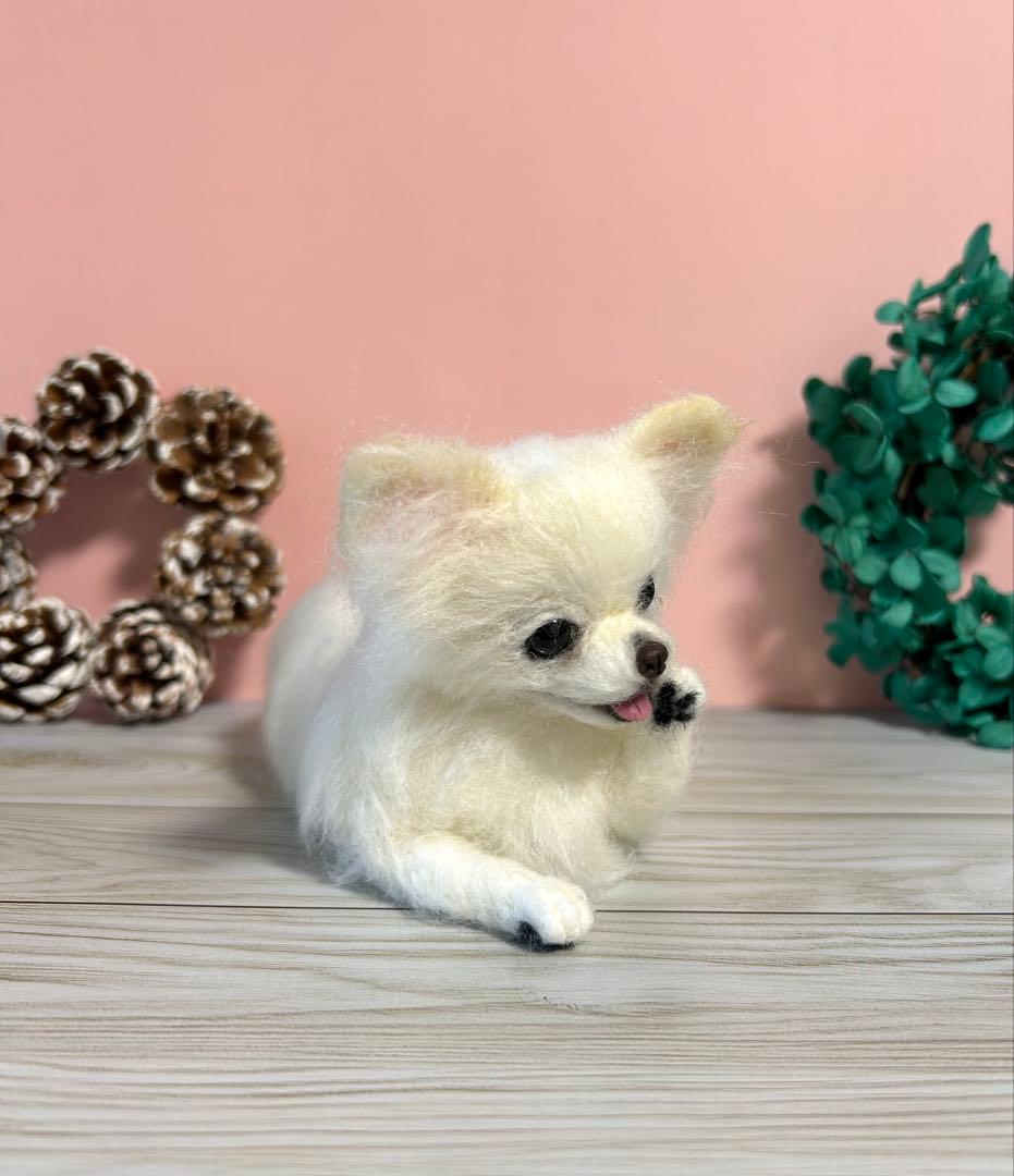 羊毛フェルト　毛づくろいチワワちゃん　10