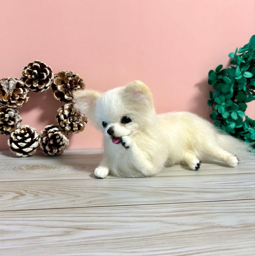 羊毛フェルト　毛づくろいチワワちゃん　10