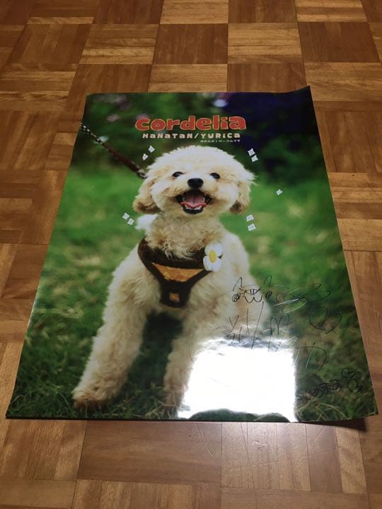 YURiCa/花たん cordelia ポスター 直筆サイン vtuber