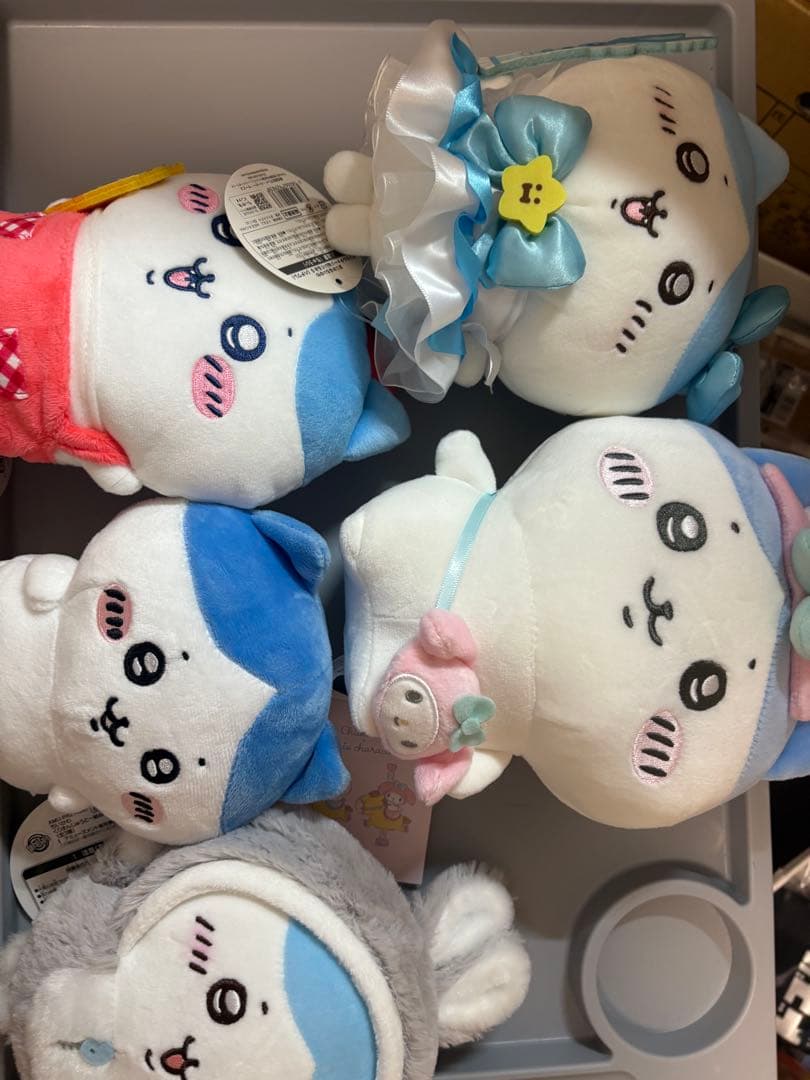 ほぼハチワレセット