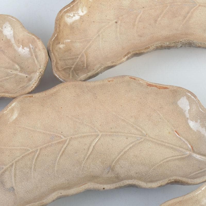 萩焼　十一代　坂高麗左衛門（韓峯）作　葉形　銘々皿　五客　時代箱　V　9500