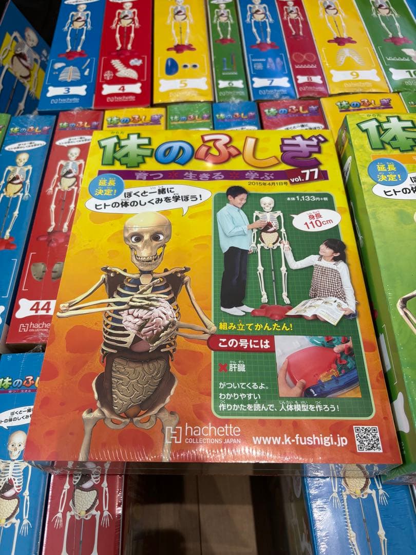 最終値下げ❗️アーサー　人体模型 セット 101個　バインダー14冊付きます