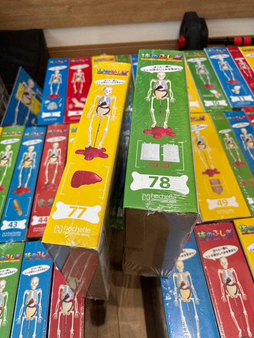 最終値下げ❗️アーサー　人体模型 セット 101個　バインダー14冊付きます