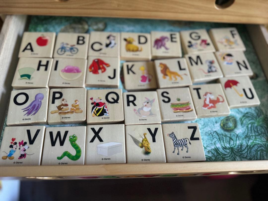 ディズニーワールドオブイングリッシュ⭐︎フルセット↓細かくお伝えします