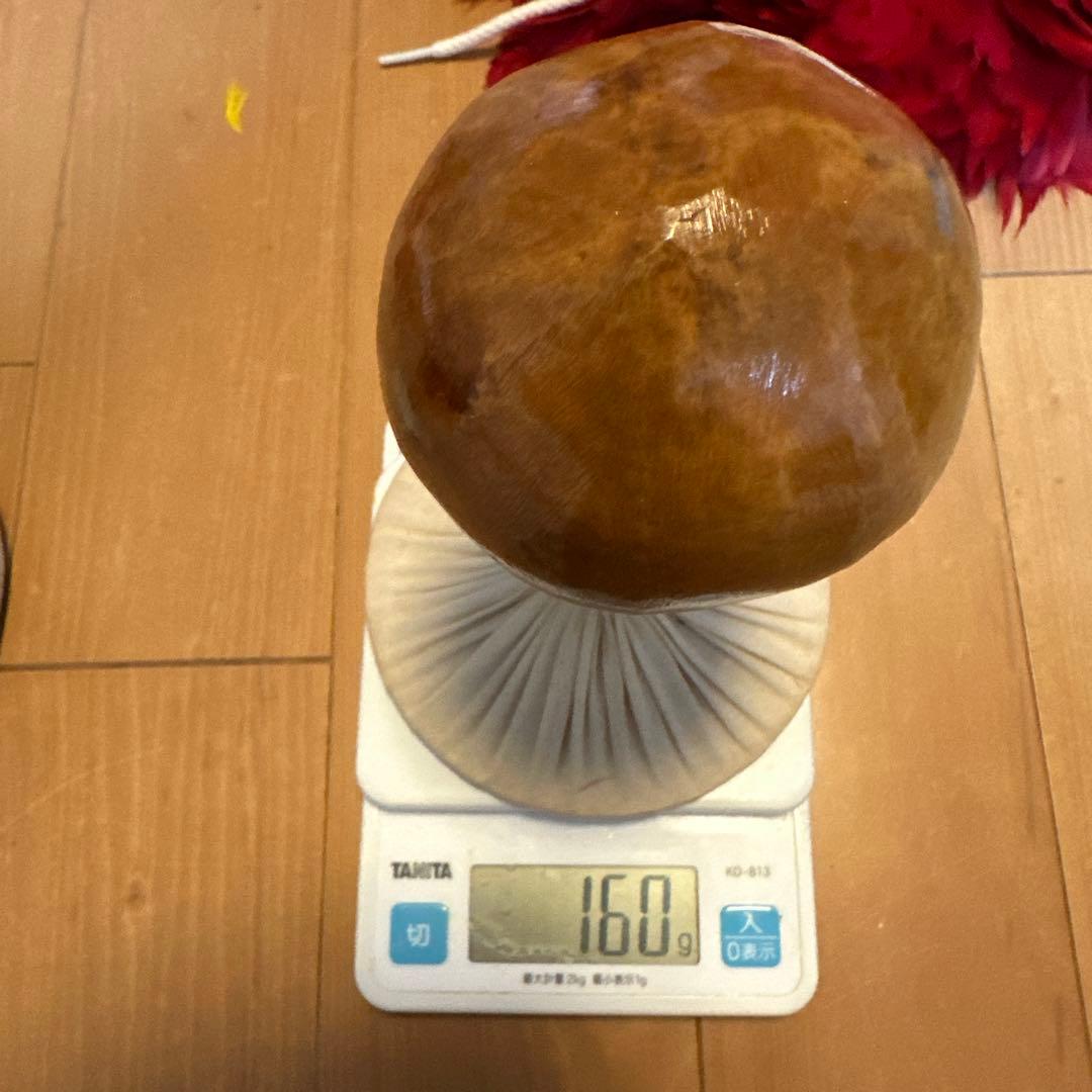 フラダンス 楽器　ウリウリ 着脱式　ハワイ　アロハ