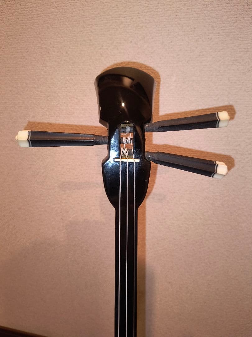 沖縄三線　 本革　 ケース黒　　蛇皮