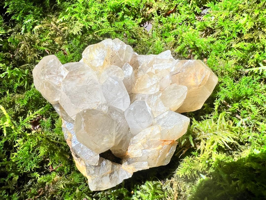 龍脈の精髄 国産ブラックルチル水晶クラスター売上一部保護猫活動に