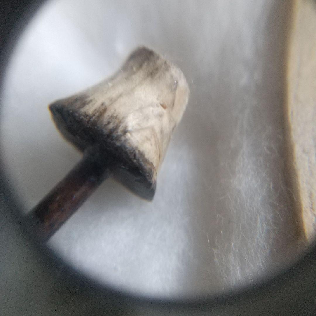 当時物 マリア様とキリスト様 エマイユ ルルドの泉 メダイ チャーム隠れ切支丹