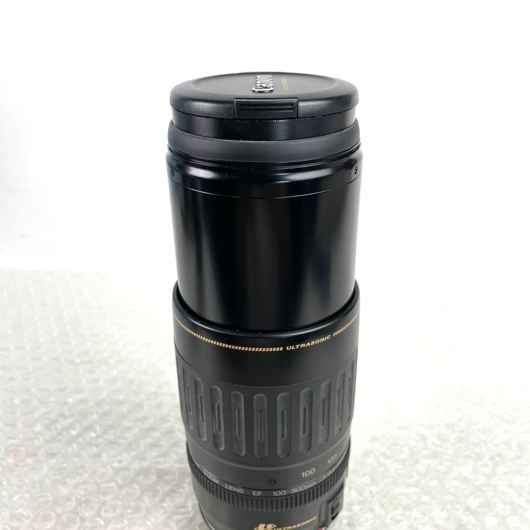 キャノン ULTRASONIC EF 28-105mm/100-300mm