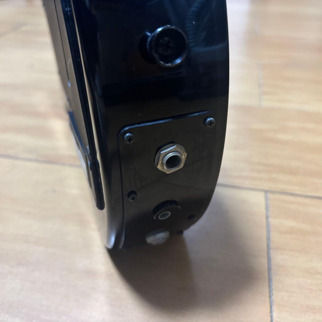 FERNANDES DIGI-ZO HYPER BR 極上品　動作良好 スカル