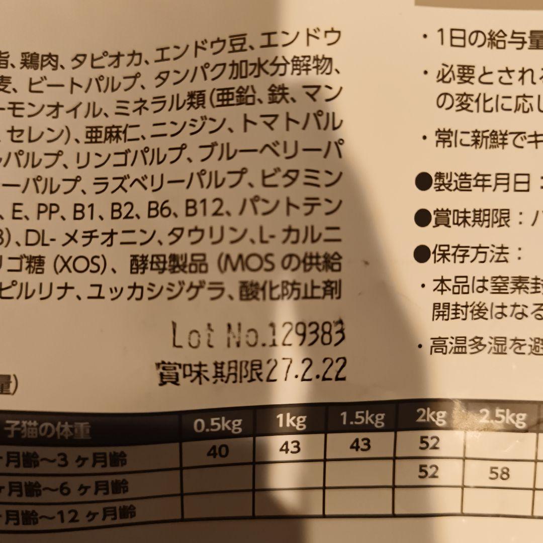 キャットフード2キロMonge B Wild  for Kitten