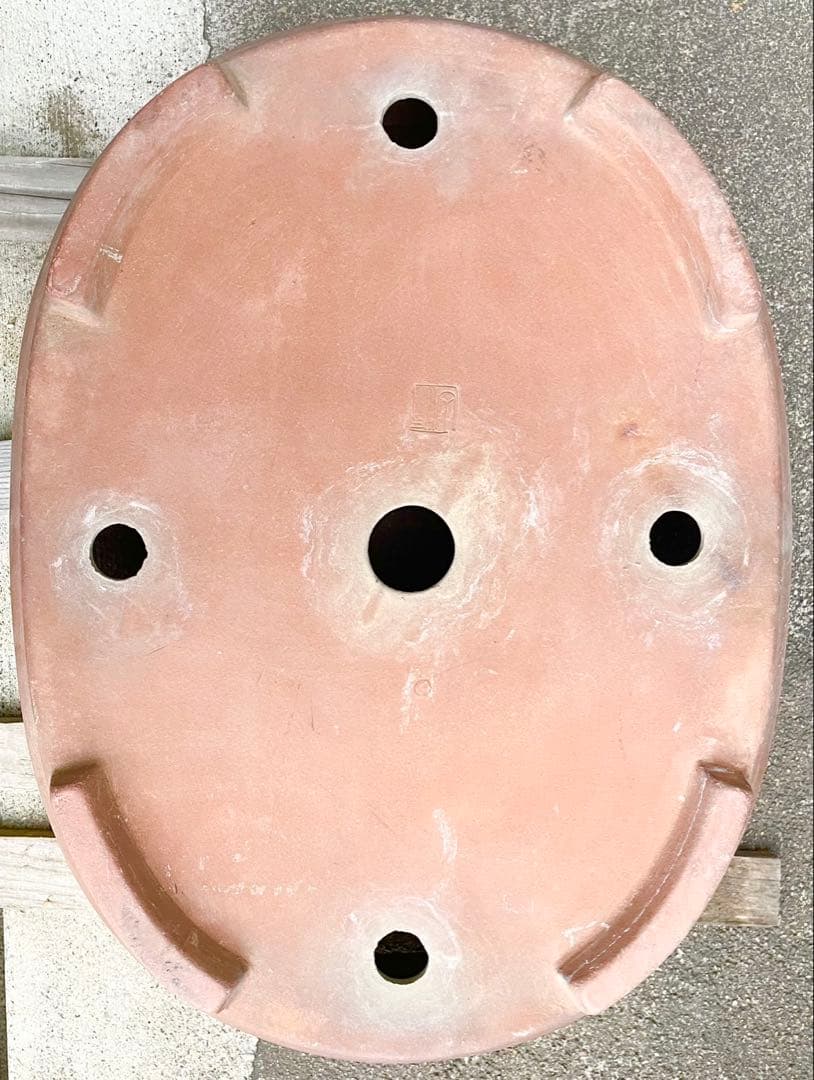 盆栽　鉢　57cm　板山　大型　特大