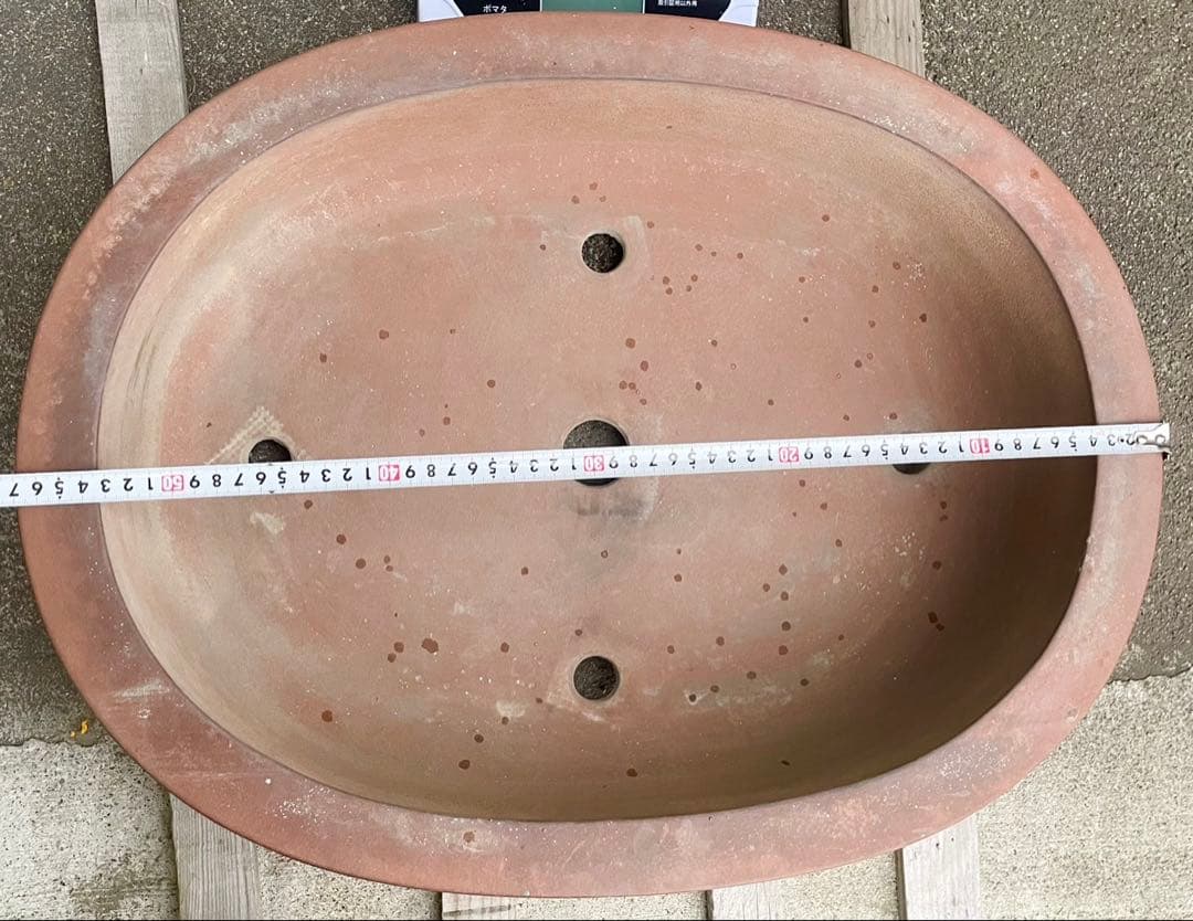 盆栽　鉢　57cm　板山　大型　特大