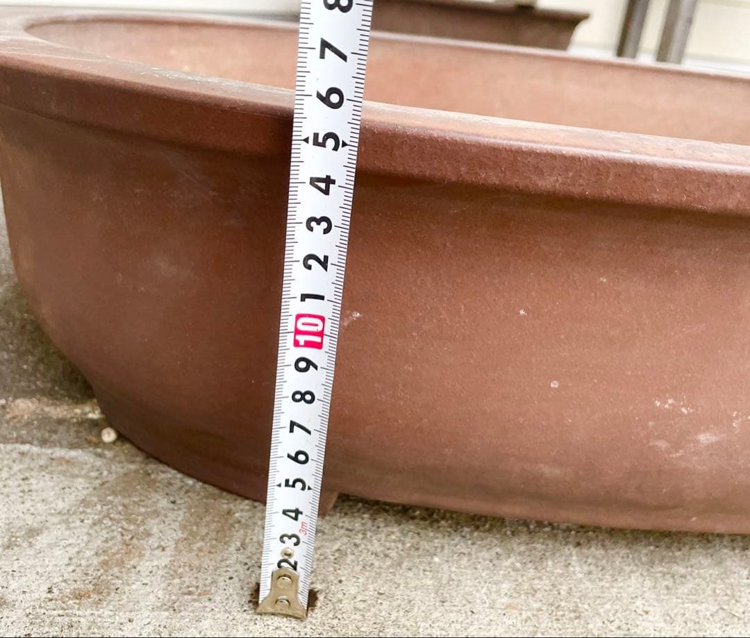 盆栽　鉢　57cm　板山　大型　特大