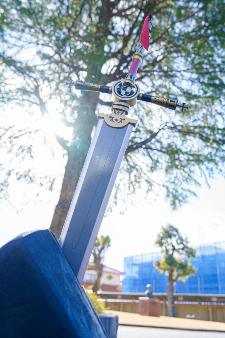 コスプレ　小道具セット　姫様　　中古価格