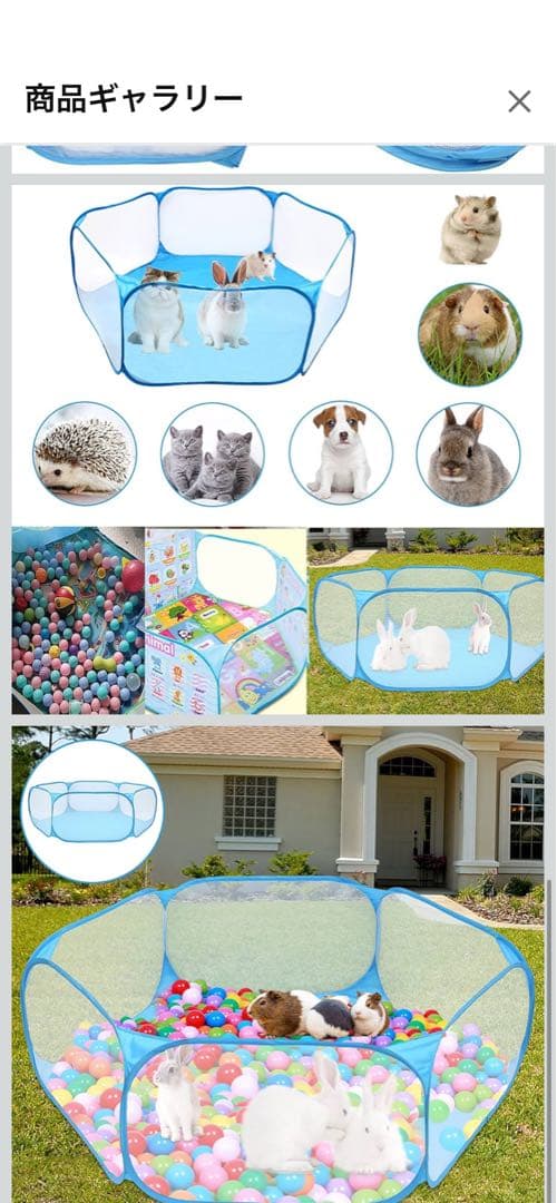 【消毒済み】ハムスター飼育セット