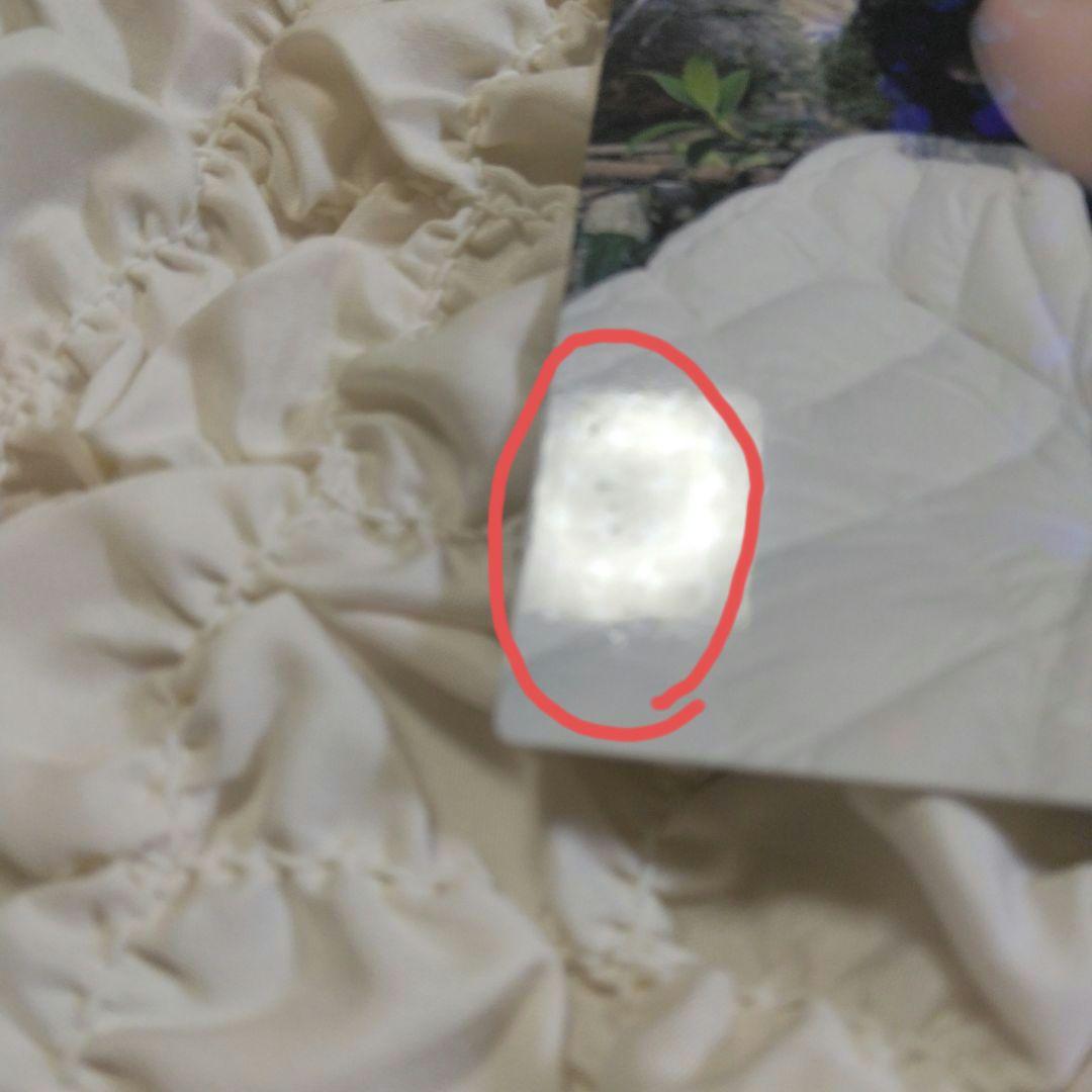 Mrs. GREEN APPLE 対バン 047 ミセス 大森元貴 レア