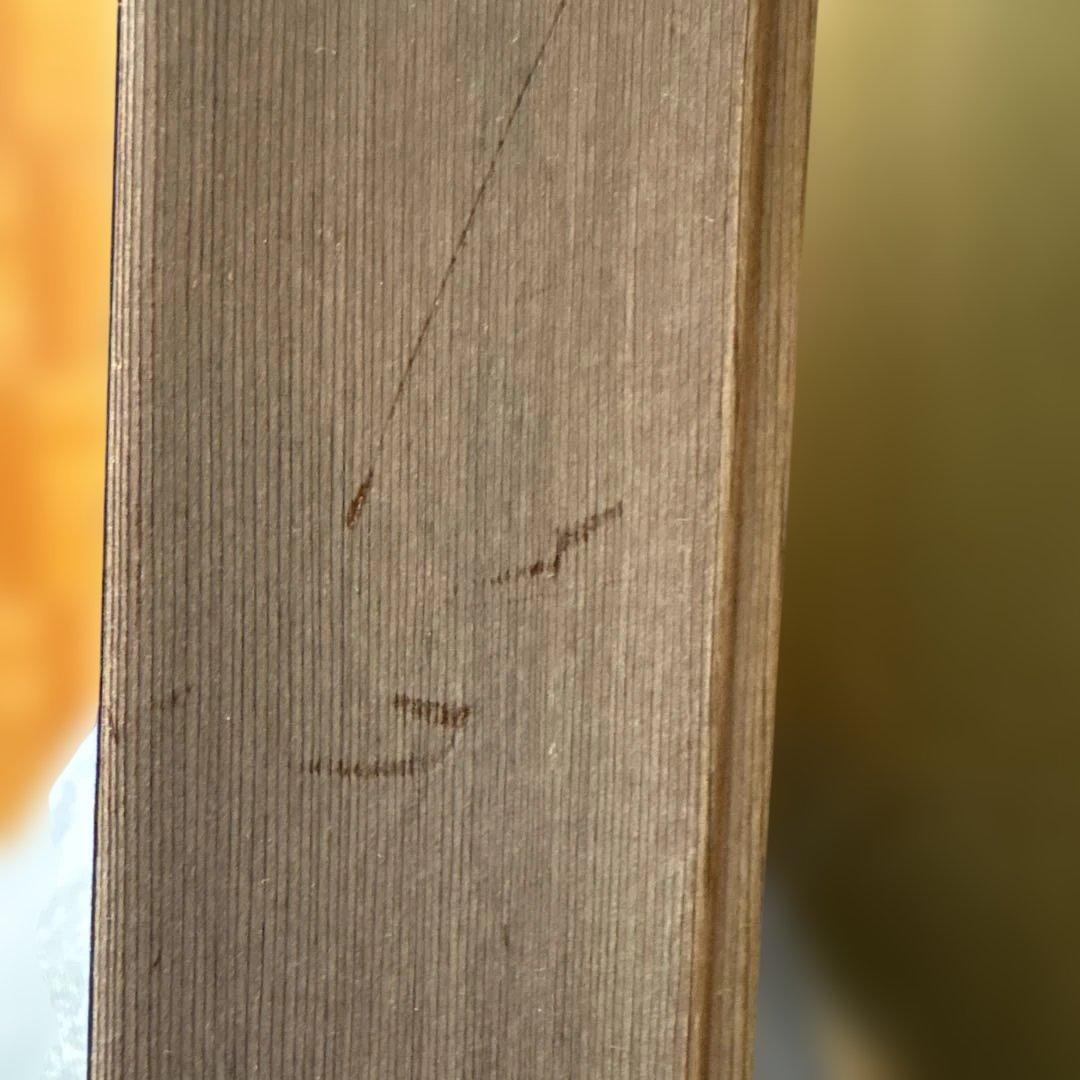 絵画　月下美人　　⚠️素人画