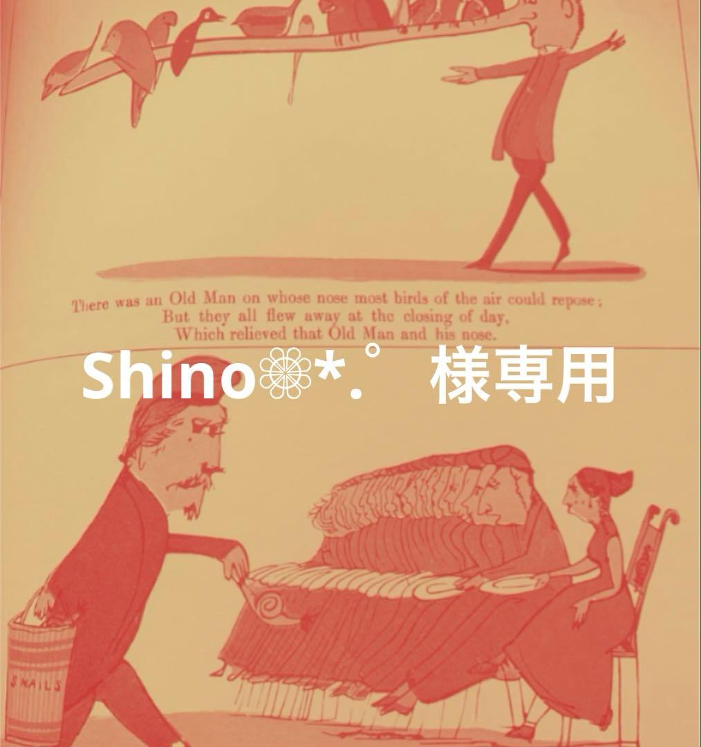 Shino❁⃘*.゜