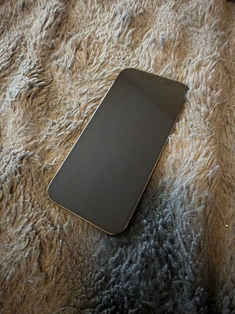 Apple iPhone 12 Pro SIM解除済み