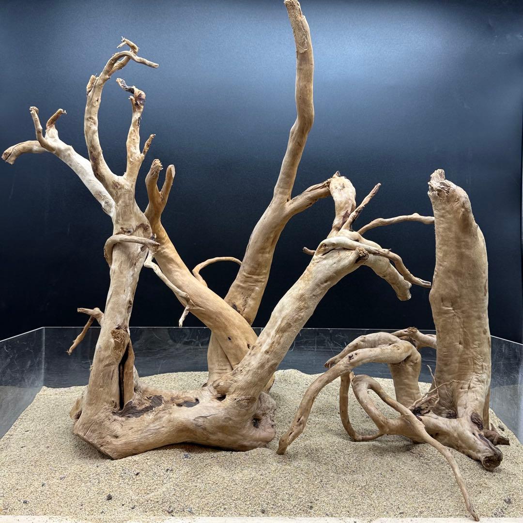 MDW-7161 特大ブランチウッド3本セット　流木　枝流木　アクアリウム