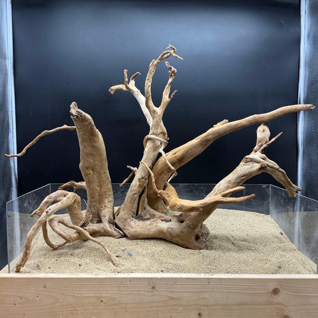 MDW-7161 特大ブランチウッド3本セット　流木　枝流木　アクアリウム