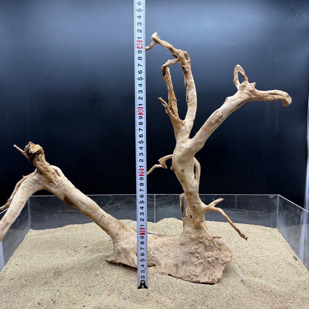 MDW-7161 特大ブランチウッド3本セット　流木　枝流木　アクアリウム