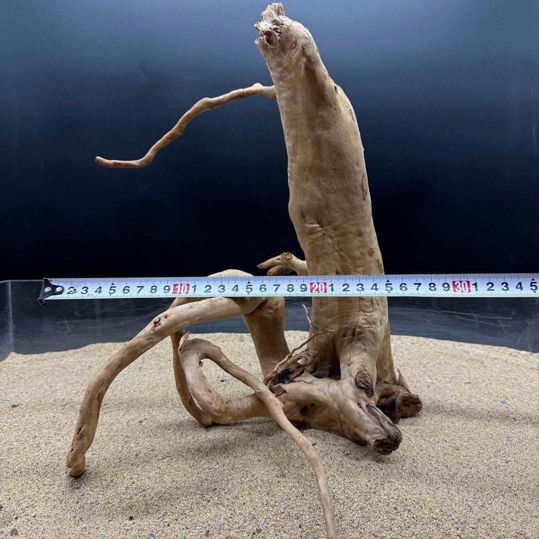 MDW-7161 特大ブランチウッド3本セット　流木　枝流木　アクアリウム