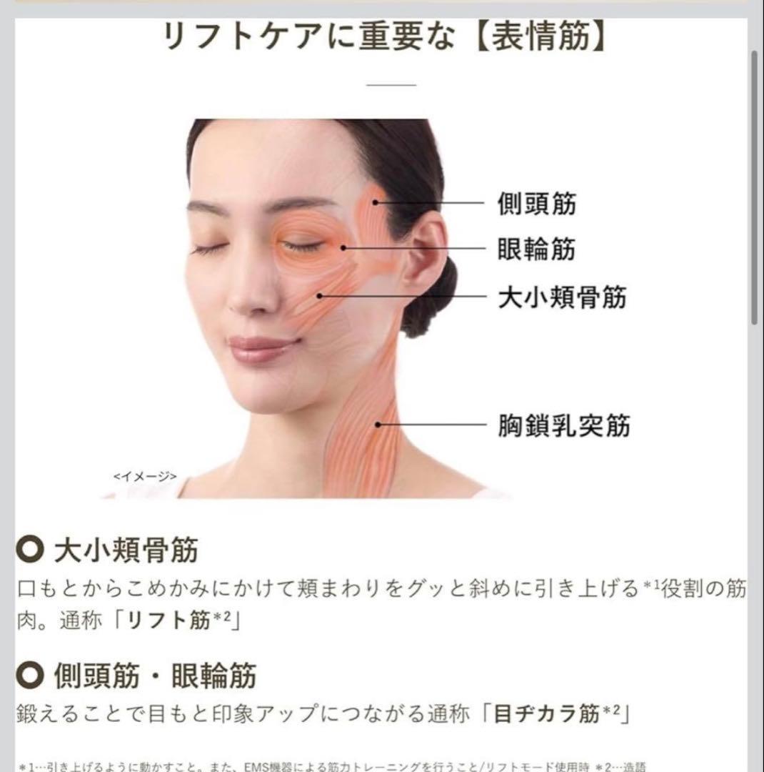 新品未開封 ヤーマン 美顔器 WAVY ニードルリフトポインター YJFD3N